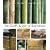 The Craft & Art of Bamboo: 30 Elegant Projects to make for Home and Garden