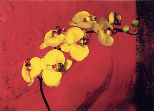 Notecards of Pangborn Art