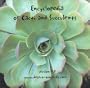 Encyclopedia of Cacti and Succulents