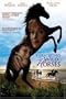 Touching Wild Horses