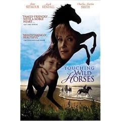 Touching Wild Horses