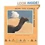 How the Camel Got His Hump