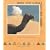 How the Camel Got His Hump (Michael Neugebauer Books)