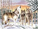  : Senior Paint By Number Set Wolf Scene