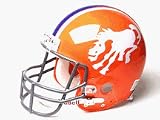 Denver Broncos 1966 Authentic Pro Line Riddell Throwback Full Size Helmet