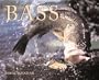 Bass