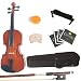 Mendini 4/4 MV200 Solid Wood Violin in Natural Finish with Hard Case, Shoulder Rest, Bow, Rosin and Extra Strings - Full Size