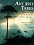 Ancient Trees