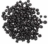 ワイルドブルーベリー 500g