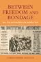 Between Freedom and Bondage: Race, Party, and Voting Rights in the Antebellum North