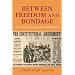 Between Freedom and Bondage: Race, Party, and Voting Rights in the Antebellum North