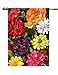 Toland Home Garden 102064 Zippy Zinnias Spring Flag 28x40 Inch Double Sided Spring Garden Flag for Outdoor House summer Flag Yard Decoration