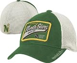 Minnesota North Stars Mitchell & Ness Vintage Patch Logo Meshback Flex Fit Hat