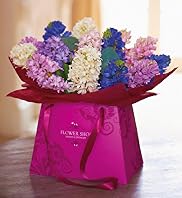 Hyacinth Gift Bag
