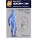 Acupressure Techniques from Around the World