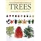 If you love trees...