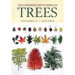 The Illustrated Encyclopedia of Trees