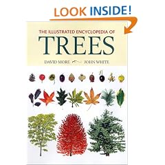 The Illustrated Encyclopedia Of Trees
