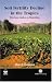 Book Soil Fertility Decline in the Tropics: With Case Studies on Plantations (Cabi Publishing)