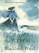 The Witch of Blackbird Pond