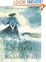 The Witch of Blackbird Pond