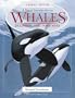 A Visual Introduction to Whales, Dolphins, and Porpoises (Animal Watch)