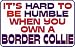 It's hard to be humble when you own a Border Collie Apron (Various Colors Available)