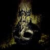 Bild des Albums von The Devil Wears Prada