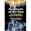 Sentinels of the Sun: Forecasting Space Weather