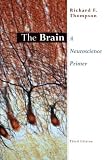 The Brain: A Neuroscience Primer