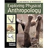 exploring physical anthropology a lab manual  workbook