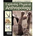 Click here to buy Exploring Physical Anthropology by  Suzanne E. Walker.