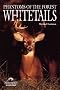 Whitetails: Phantoms of the Forest