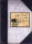 Lady Cottington's Pressed Fairy Journal