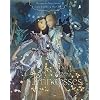 Le bal des douze princesses