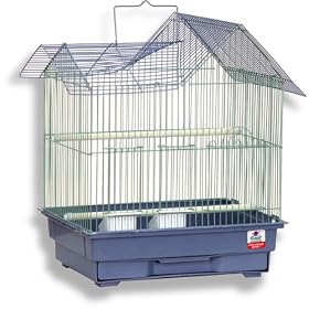 Blue Ribbon House Style Roof Bird Cage, 14.3-Inch by 11.3-Inch by 17-1 2-Inch, Prairie Green  Slate... by Blue Ribbon