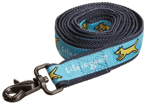 Life Is Good Nylon Dog Leash - Surfer Blue - 6 -Feet