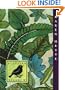 Aleutian Sparrow