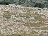 The 3,500 Year Old Foundation of Gournia, Minoan Archaeological Site, Island of Crete Art Photographic Poster Print by Marco Simoni, 40x30