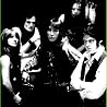 Image of The Fuzztones