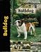 Bulldog (Pet love)
