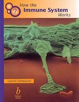 How the Immune System Works