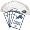 Detroit Lions