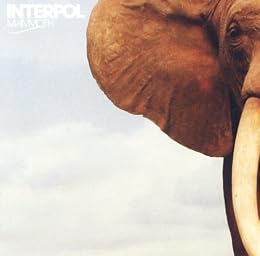 © Amazon Interpol Picture 1