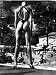 Helmut Newton's SUMO