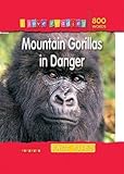 Mountain gorillas in danger