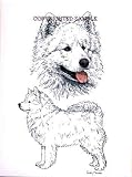 Samoyed - Double Image by Cindy Farmer