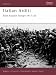 Italian Arditi: Elite Assault Troops 1917-20 (Warrior)