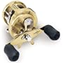 Shimano Calcutta TE CTE101GT