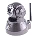 Agasio M166I Wireless WiFI IP Camera with IR-Cut Filter, Two-Way Audio, Pan/Tilt, Night-Vision, Email & FTP Alert, Motion Detection, DDNS and 64 Channel Recording Software